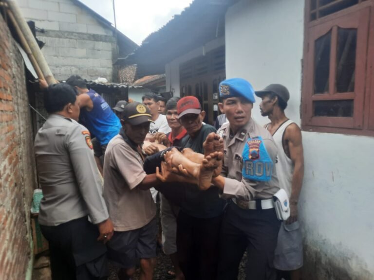 IMG-20240905-WA0117