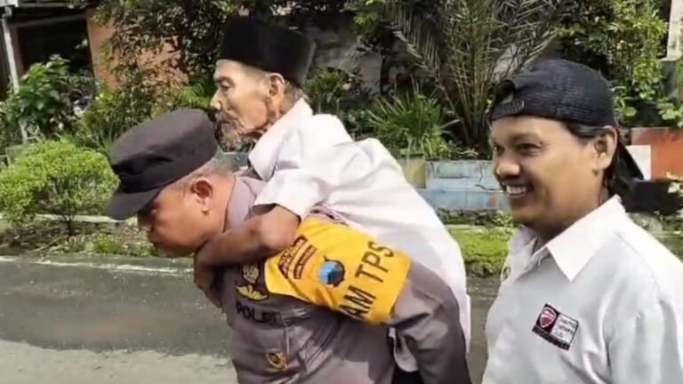 IMG-20241127-WA0135