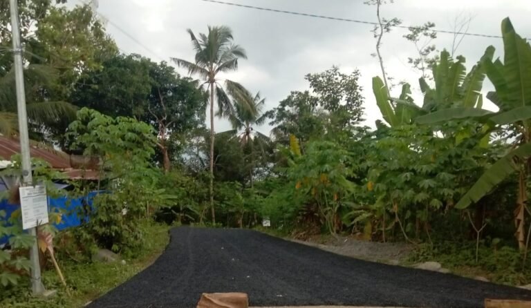 IMG-20241030-WA0198