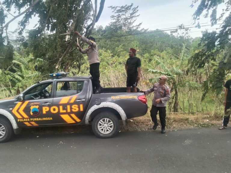 IMG-20250202-WA0102